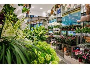 Vente Bureaux et commerces à Saint-Avé (56890) : à vendre / Saint-Avé