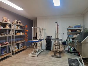 Local commercial Chartres centre