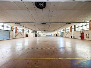 Local professionnel/artisanal/entrepôt