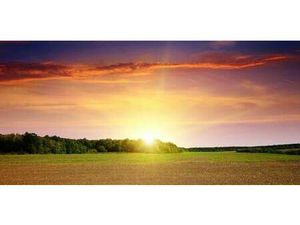 Terrain constructible viabilisé à vendre