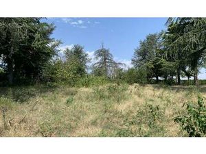 Terrain constructible viabilisé à vendre