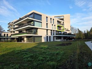 Appartement te huur in Arendonk met 1 slaapkamer