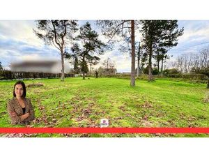 Terrain Mont Pres Chambord 951 m2