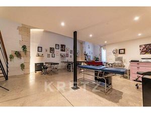 Local professionnel type loft avec mezzanine en centre ville