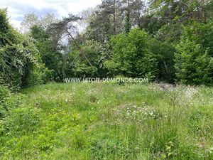 Joli terrain arboré proche de Périgueux