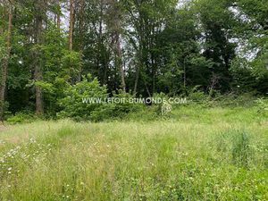 Joli terrain arboré proche de Périgueux