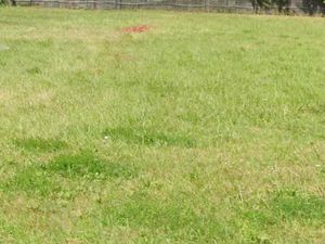 Terrain à bâtir à Barsac (33720)