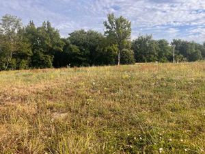 Terrain à bâtir à Frontenac (33760)