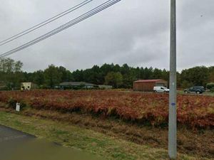 Terrain à bâtir à Saucats (33650)