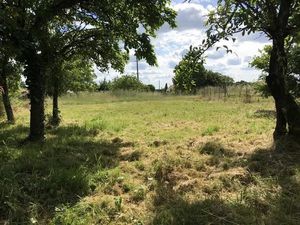 Achat Terrain 640m² OULMES 85420