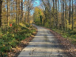 Terrain à bâtir à vendre à ALLEE DES SANSONNETS 420 Neuville (VWD16004)