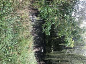 Vente Maison à Baguer-Morvan (35120) : à vendre / 180m² Baguer-Morvan