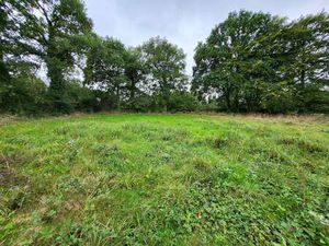 Vente Terrain au Tronchet (35540) : à vendre / Le Tronchet