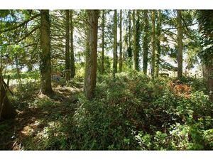 Vente maison 1 pièce 2663 m² Saint-Germain-des-Prés (45220)