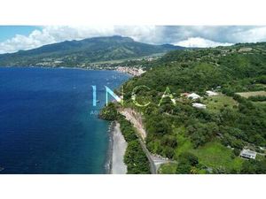 Terrain d'exception au Carbet de 6 099 m²