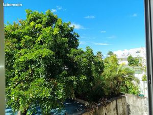 Studio 1 pièce 20 m²