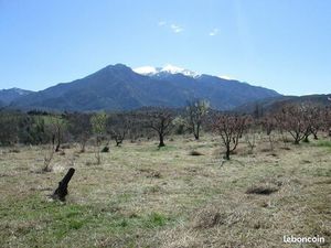 Prades 66500 Terrain agricole plat 2800m2