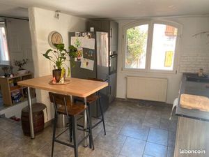 Duplex lumineux avec poil à bois 850 hors charges