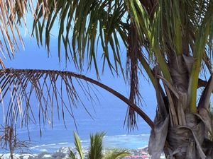 Joli terrain d'environ 560m2 à Montvert les Bas avec une vue