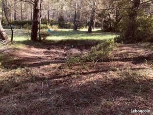 Loue 4 hectares