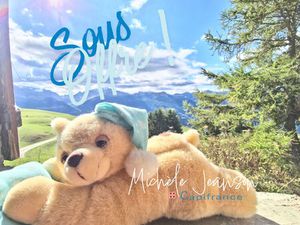 Vente maison 3 pièces 60 m² La Plagne-Tarentaise (73210)