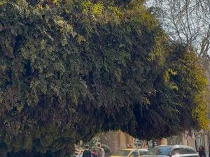 OPPORTUNITE RARE – Bail commercial emplacement n°1 – Centre-ville Salon-de-Provence