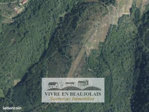 Terrain 133771 m² Vaux-en-Beaujolais