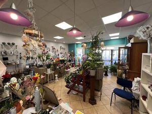 STEPHANE FRANCIN BSK IMMOBILIER