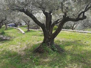 Particulier recherche maison avec plus de 8000 m2 de terrain