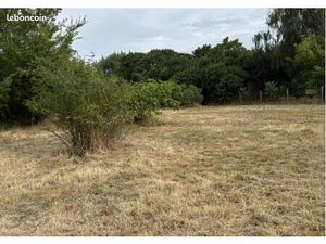 AV terrain 1450m2 145 500