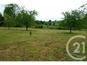 Terrain 1 901 m² Laffite Toupiere