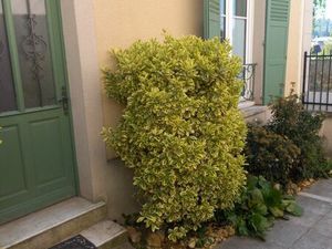 Appartement F1Jouy en Josas