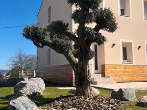 A louer appartement type F2