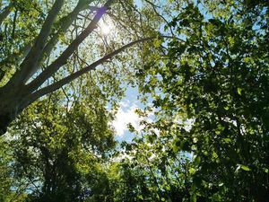 Recherche très urgemment appartement