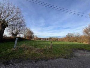 Terrain de 37 ares possibilité de diviser en 2 lots