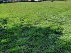 Terrain constructible viabilisé à vendre