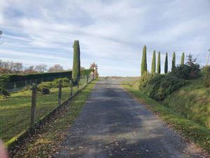 Local d'activités à vendre