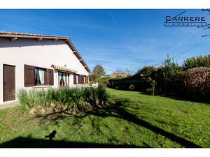 CARIGNAN DE BORDEAUX