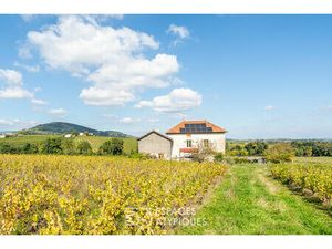 Charmante maison au coeur des vignobles du Beaujolais vert