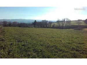 Terrain 1 017 m² Castanet