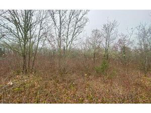 Terrain Bach m² T- à vendre  5 000 €