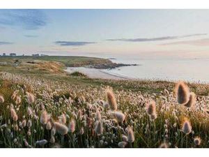 Vente Terrain à Locmaria-Plouzané (29280) : à vendre / Locmaria-Plouzané