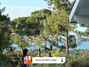 Entre pins et lumière  une maison tournée vers le Bassin