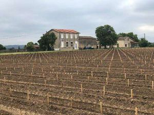 Location Maison à Portets (33640) : à louer / 150m² Portets