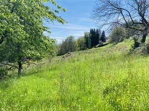 Beau terrain constructible