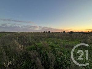 Terrain à vendre - 1579 m2 - Grezac - 17 - POITOU-CHARENTES