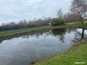 Location d’un terrain 7000 m