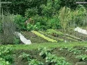 Jardin potager location