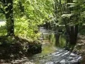 Terrain de loisirs / rivière