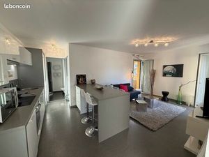 Très beau T3   47 m2 meublé équipé